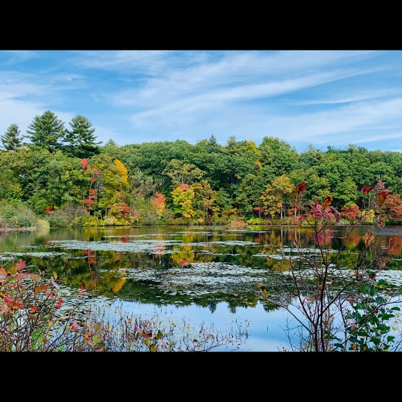 Meet your Posher, Julia - Picture 3 of 3